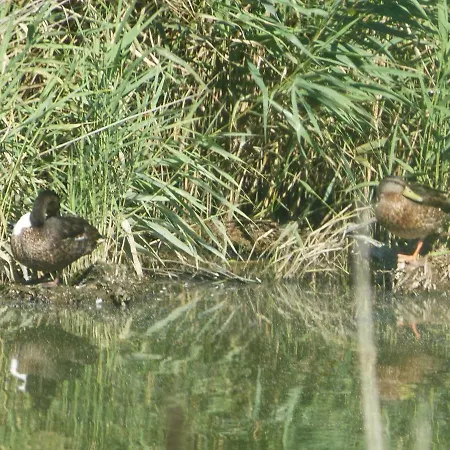 Op Lundingland Vakantiehuis Ockholm