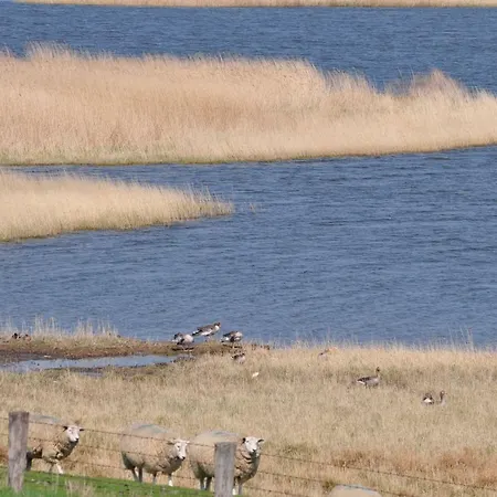 Vakantiehuis Op Lundingland Ockholm
